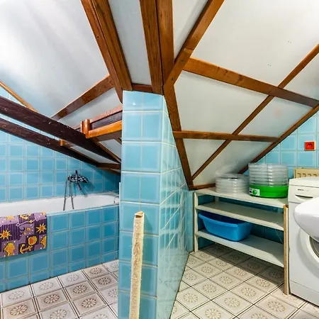 Chalet Plesivka *